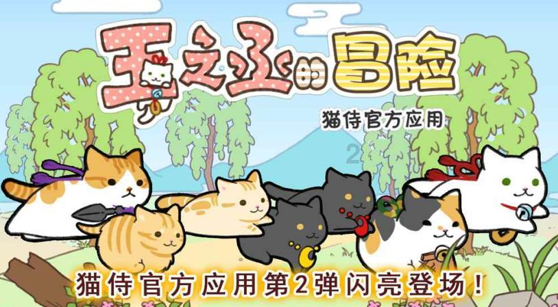 测试你与TF男孩的缘分