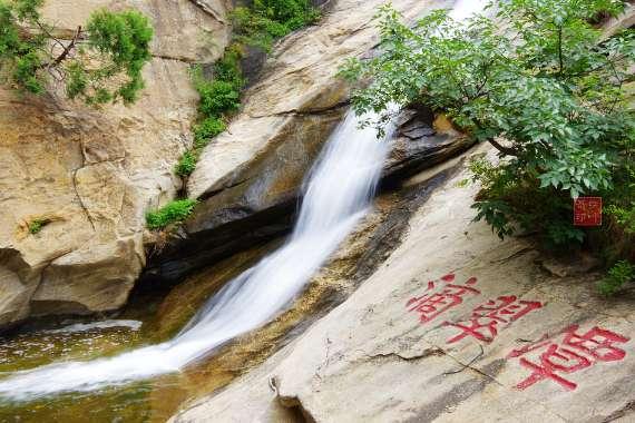 萝卜和“它”相遇,可能会让“癌细胞”变活跃,还好早知道了!