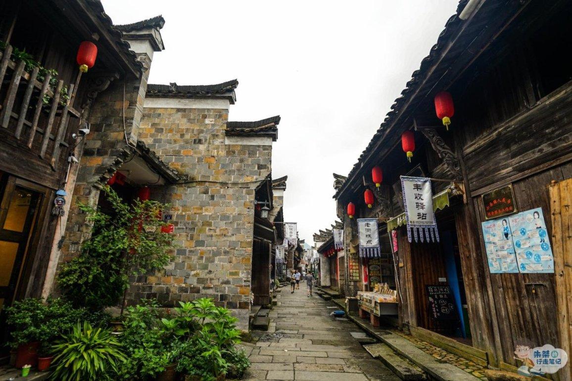 奔跑的兔子
